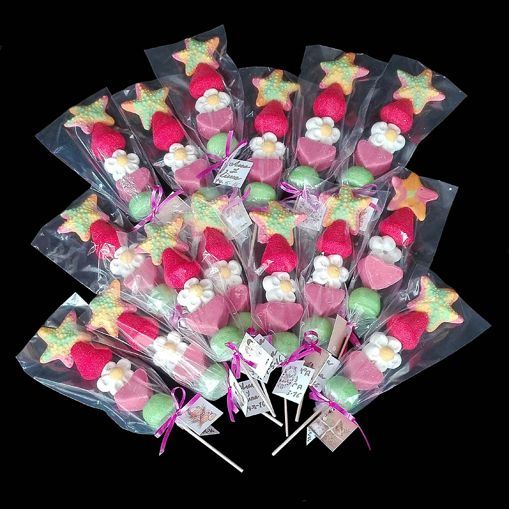 Brochetas de Chuche